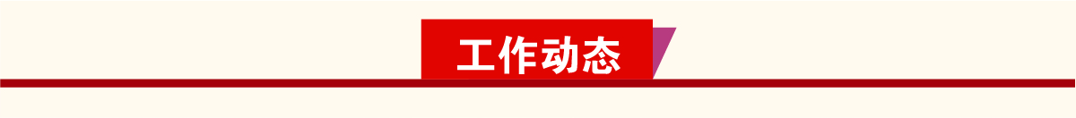 工作动态